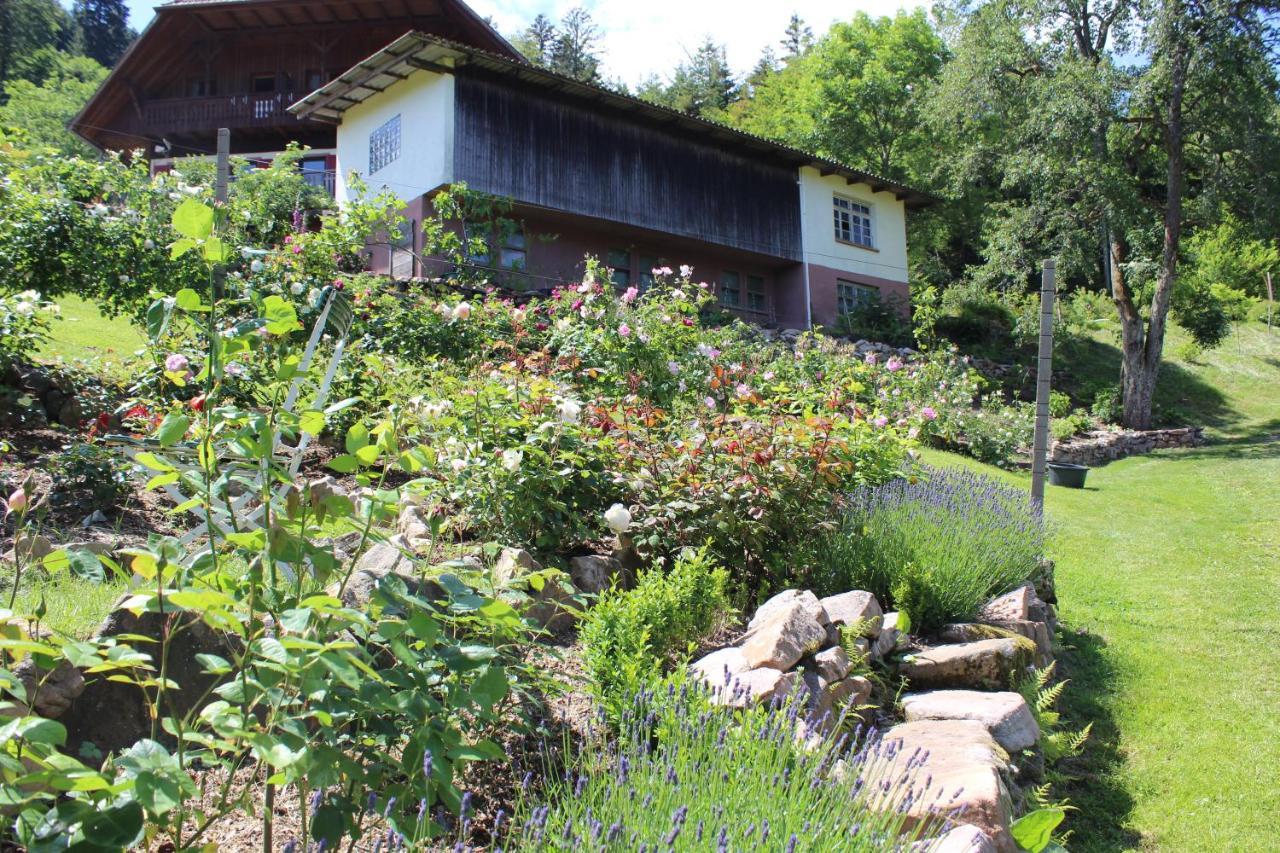 The Moosbach Garden Pension Nordrach Buitenkant foto
