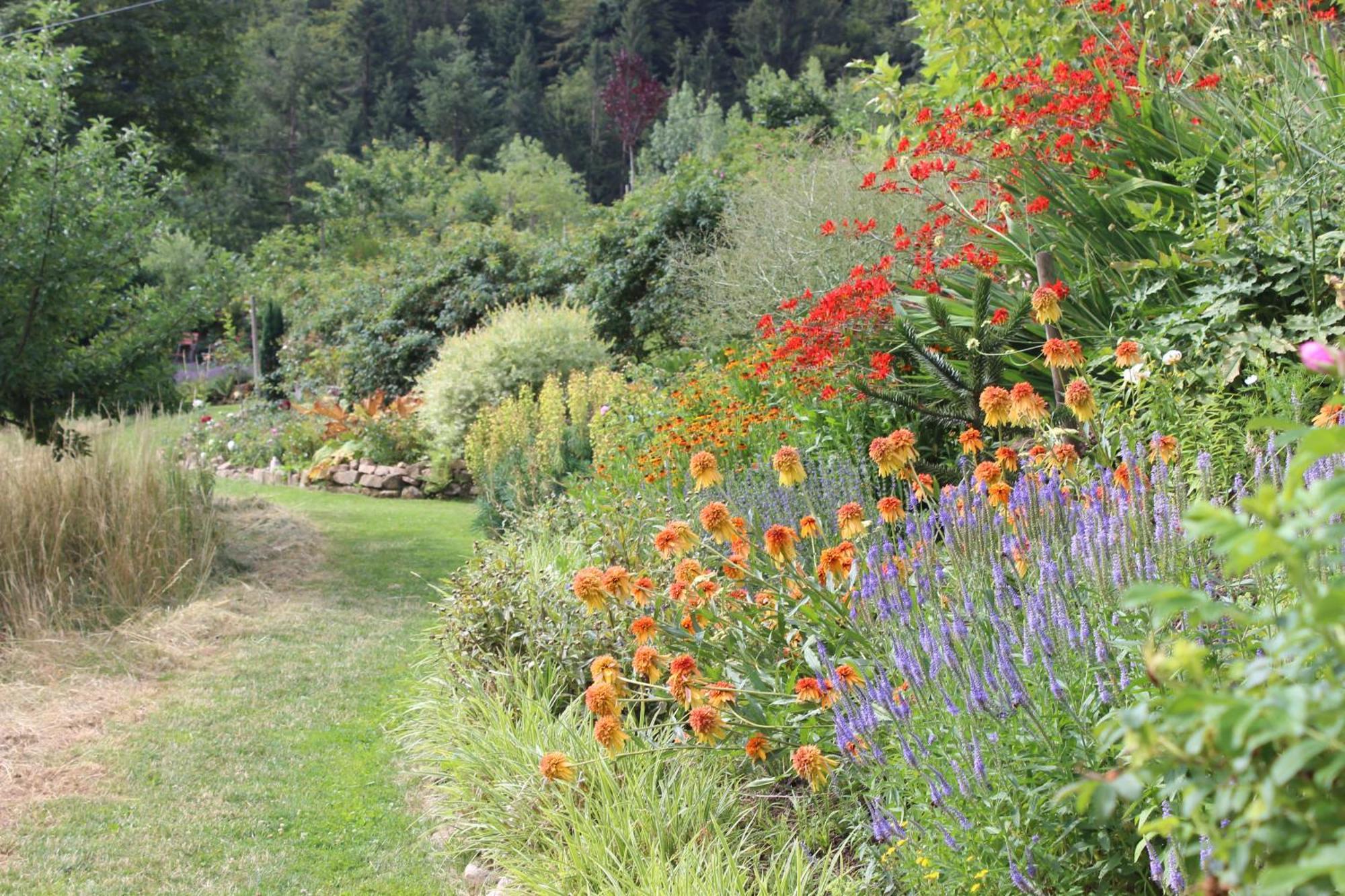 The Moosbach Garden Pension Nordrach Buitenkant foto