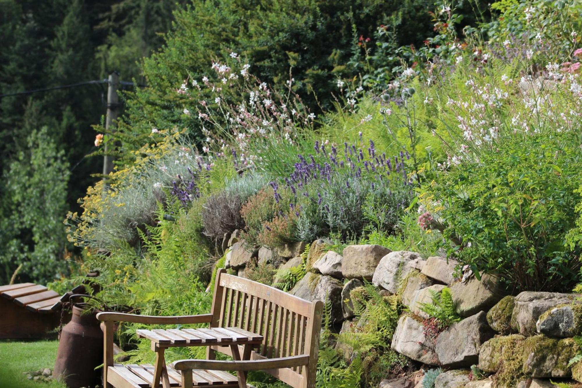 The Moosbach Garden Pension Nordrach Buitenkant foto